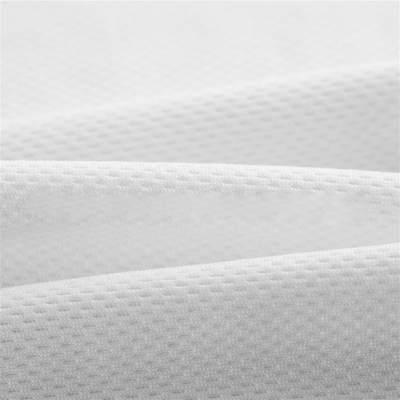 DFXW 再生鳥眼布 成分：100%再生滌綸 幅寬：165CM  克重：145g/㎡ 吸濕排汗 ESTS UNIFI RPET 再生物料 GPRS 認證   正面照